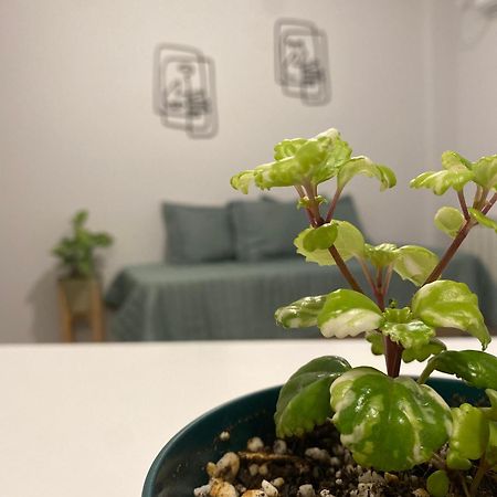 סלטה Tierra Alojamientos מראה חיצוני תמונה